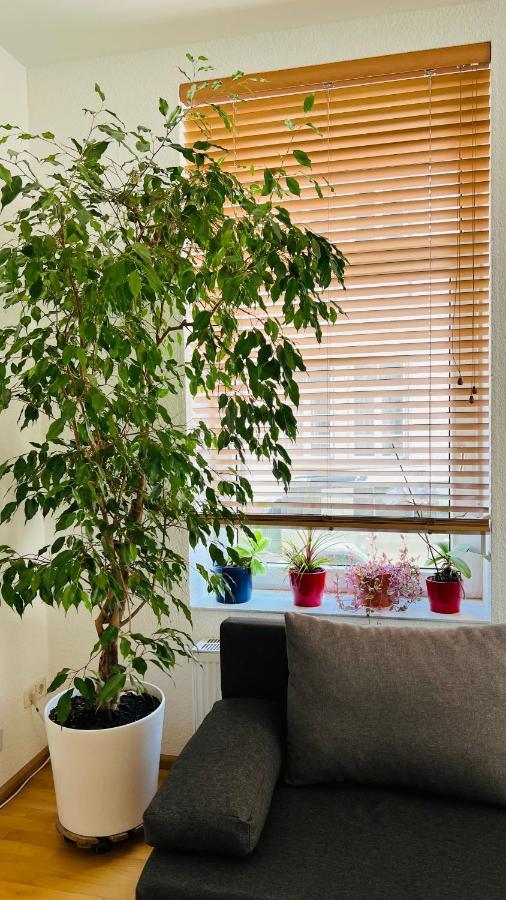 באד הומבורג וור דר הואה Grosses Und Helles Innenstadt Apartment - Ferienwohnung מראה חיצוני תמונה